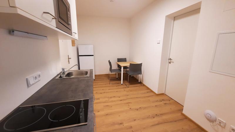 Wohnung zur Miete 479,09 € 1 Zimmer 12,8 m²<br/>Wohnfläche Blumauergasse 26 Steyr Steyr 4400