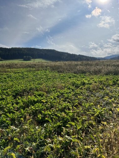 Bauernhof zum Kauf 13.000 m² Grundstück Eberdorf Weißkirchen in Steiermark 8741