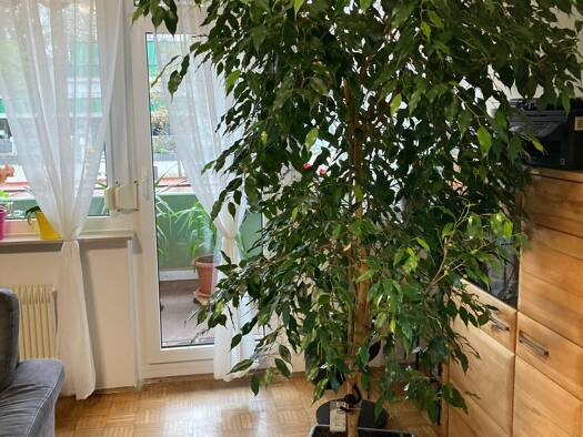 Wohnung zur Miete 748 € 4 Zimmer 106,9 m² 1. Geschoss Falkenring 71 Villingen Villingen-Schwenningen 78048