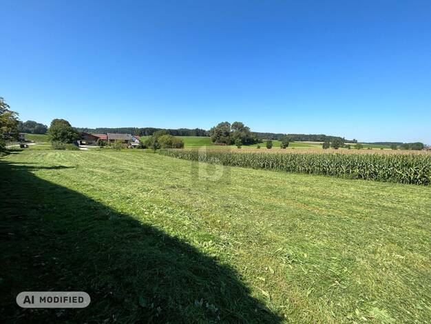 Grundstück zum Kauf 200.000 € 1.664 m² Grundstück Feldkirchen bei Mattighofen 5143