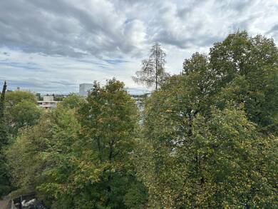 Studio zur Miete 920 € 2 Zimmer 44 m² 4. Geschoss frei ab 01.09.2025 Riedstraße 38 Fürstenberg Konstanz 78462