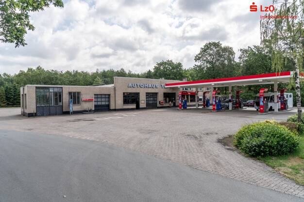 Immobilie zum Kauf 242,5 m² 7.910 m² Grundstück Mittelstenthüle Friesoythe 26169