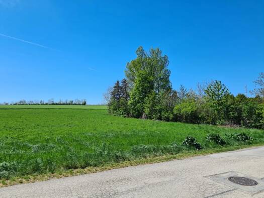 Grundstück zum Kauf 309.000 € 1.517 m² Grundstück Steinbrunn 7035