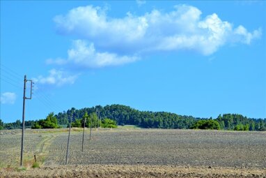 Land-/Forstwirtschaft zum Kauf 330.000 € 13.000 m² Grundstück Chalkidiki