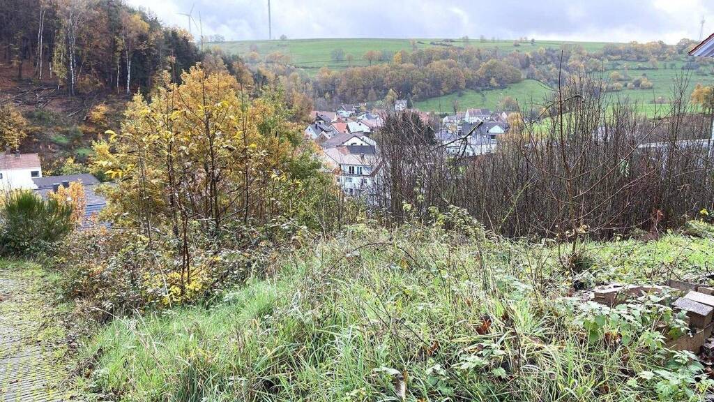 Grundstück zum Kauf 59.000 € 704 m² Grundstück Obernheim-Kirchenarnbach 66919