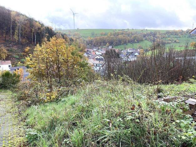 Grundstück zum Kauf 59.000 € 704 m² Grundstück Obernheim-Kirchenarnbach Obernheim-Kirchenarnbach 66919