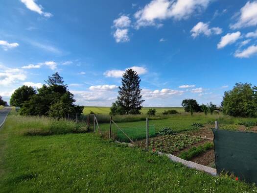 Freizeitgrundstück zum Kauf 16.075 € 3.215 m² Grundstück Sargstedt Halberstadt 38822
