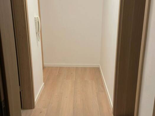 Wohnung zur Miete 950 € 1,5 Zimmer 64 m² Geschoss 1/8 frei ab sofort Maudach Ludwigshafen am Rhein 67067