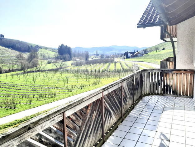 Wohnung zur Miete 683 € 3 Zimmer 90 m² 2. Geschoss Tiergarten Oberkirch 77704