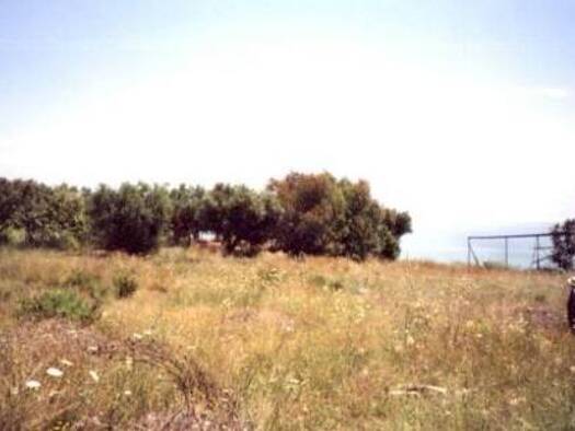 Grundstück zum Kauf 462.400 € 17.000 m² Grundstück Municipality of Kalamata neu