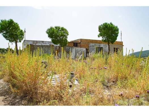 Acker-/Waldstück zum Kauf 179.000 € Medina Sidonia 11170