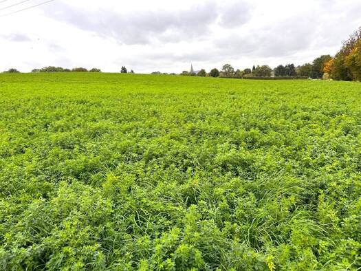 Land-/Forstwirtschaft zum Kauf 8.305 m² Grundstück Linnich Linnich / Boslar 52441