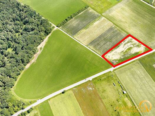 Land-/Forstwirtschaft zum Kauf 60.000 € 6.497 m² Grundstück Sandharlanden Abensberg 93326
