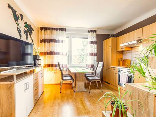 Studio zur Miete Wohnen auf Zeit 1.205 € 1 Zimmer 48 m² frei ab sofort Wien 1230