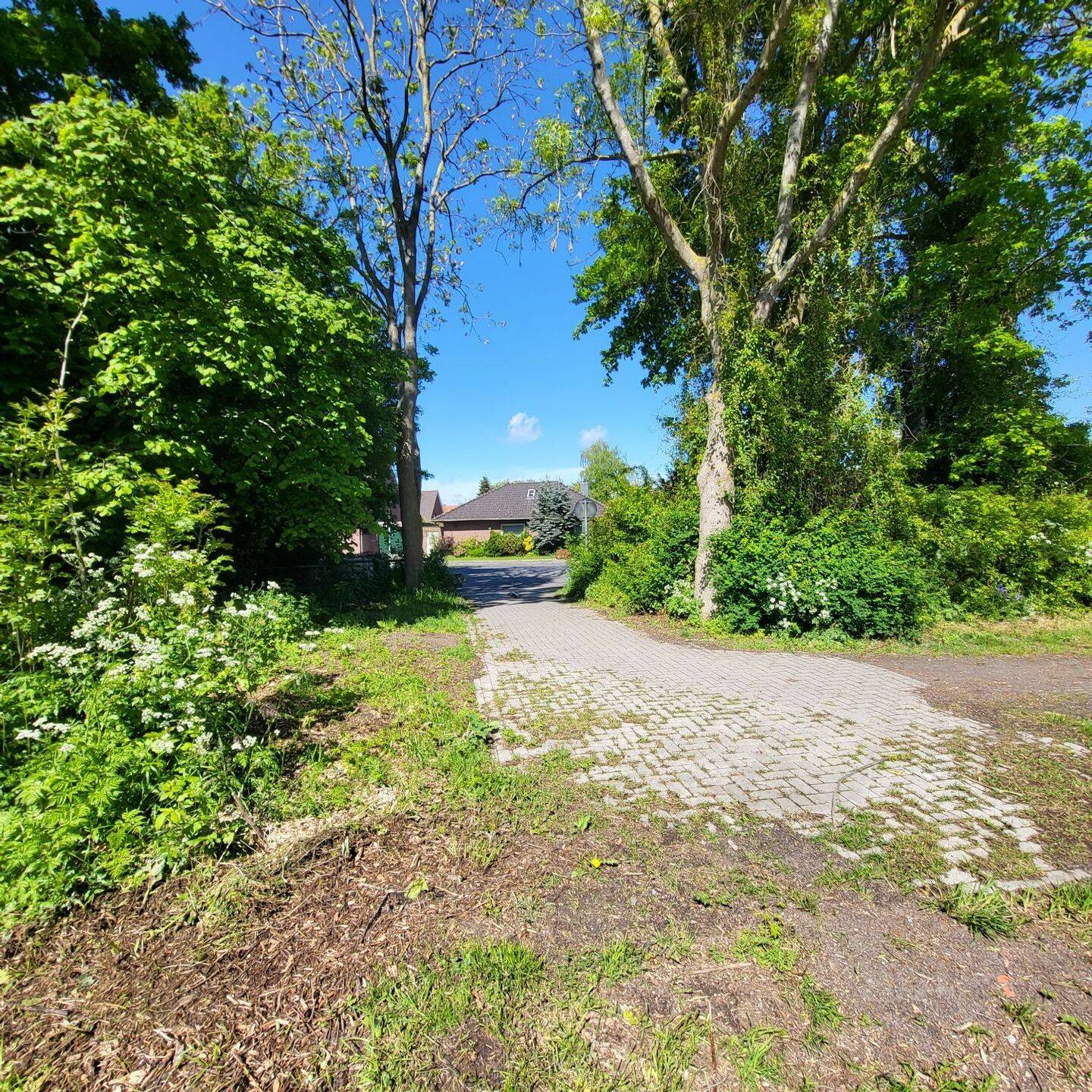 Bungalow zum Kauf - Ansicht 4