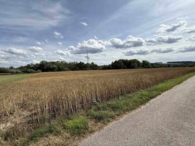 Land-/Forstwirtschaft zum Kauf 15.991 m² Grundstück Loiching Loiching