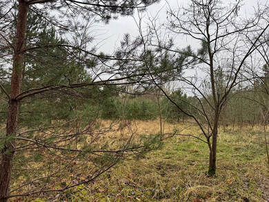 Grundstück zum Kauf 164.900 € 625 m² Grundstück Sachsenhausen Oranienburg 16515