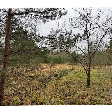 Grundstück zum Kauf 164.900 € 625 m² Grundstück Sachsenhausen Oranienburg 16515