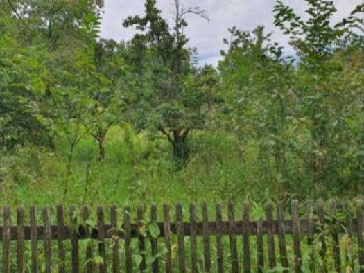 Freizeitgrundstück zur Miete provisionsfrei 29 € 800 m² Grundstück Noßwitzer Hauptstrasse    über Bundesstrasse 175 Rochlitz 09306