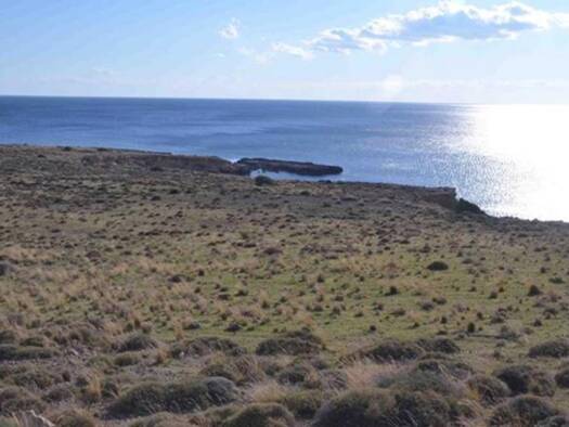 Grundstück zum Kauf 737.000 € 21.983 m² Grundstück Kreta Municipality of Sitia 720 59
