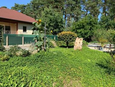 Einfamilienhaus zum Kauf 200.000 € 5 Zimmer 122,7 m² 998 m² Grundstück Walddrehna Heideblick / Walddrehna 15926