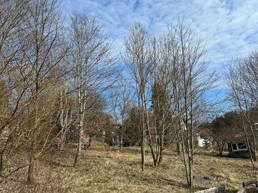 Grundstück zum Kauf 266.000 € 1.023 m² Grundstück Großschönach Herdwangen-Schönach 88634