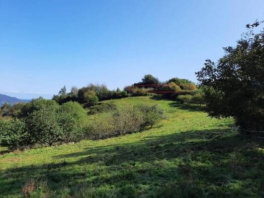Acker-/Waldstück zum Kauf 1.700 € Villaviciosa 33300