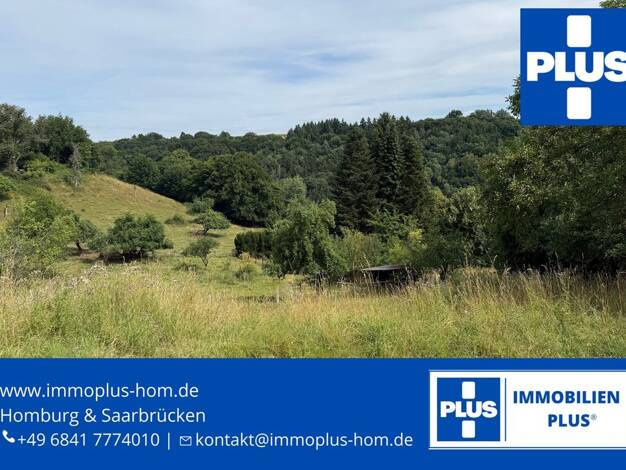 Grundstück zum Kauf 149.000 € 2.600 m² Grundstück Knopp Knopp-Labach 66917