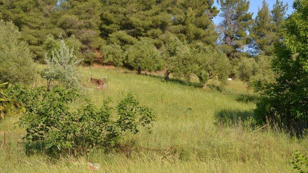 Land-/Forstwirtschaft zum Kauf 400.000 € 2.300 m² Grundstück Chalkidiki