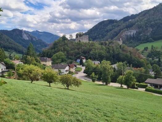 Grundstück zum Kauf 1.500.000 € 11.936 m² Grundstück Losenstein 4460