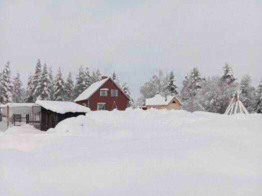 Einfamilienhaus zum Kauf 75.000 € 4 Zimmer 75 m² 17.000 m² Grundstück Malå 93994