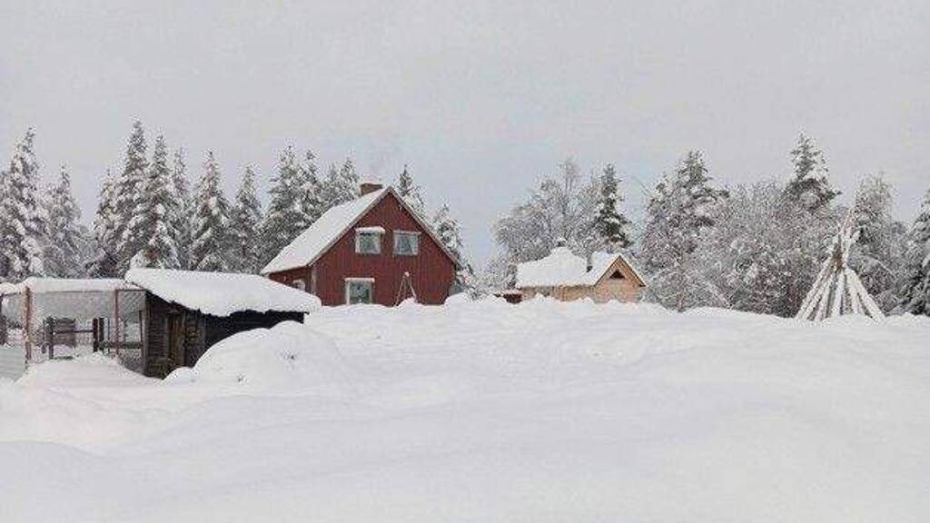 Einfamilienhaus zum Kauf 75.000 € 4 Zimmer 75 m² 17.000 m² Grundstück Malå 93994