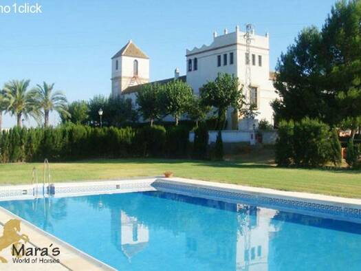 Landhaus zum Kauf provisionsfrei 3.990.000 € 18 Zimmer 4.000 m² 80.000 m² Grundstück Camino del suerte 10 Carmona 41410