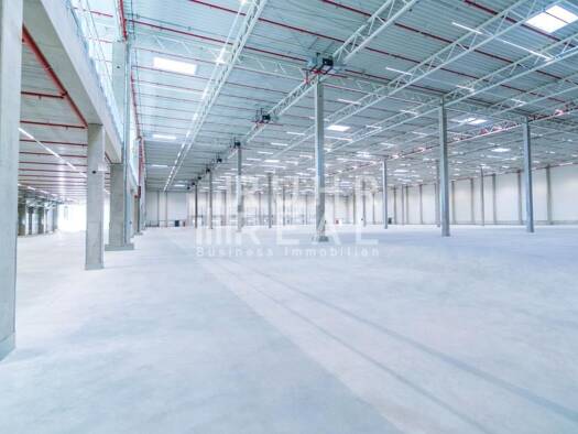 Lagerhalle zur Miete - Erstbezug provisionsfrei 10.000 m² Lagerfläche teilbar ab 10.000 m² Hilden 40724