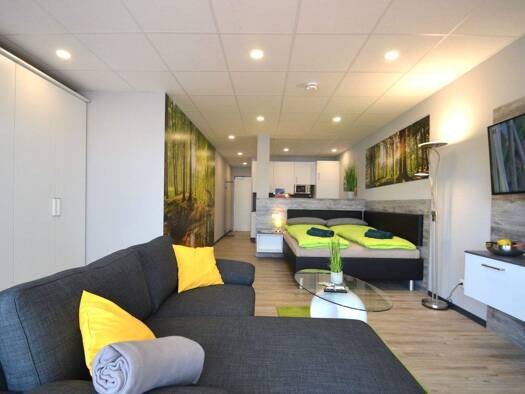 Wohnung zur Miete 995 € 1 Zimmer 50 m² Georg-Mayr-Straße 8 Marktheidenfeld Marktheidenfeld 97828