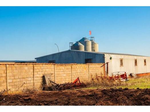 Verkaufsfläche zum Kauf 75.000 € 603 m² Verkaufsfläche Calzada del Coto 24342