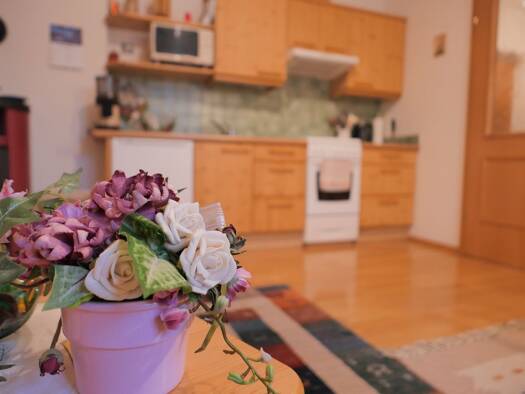 Wohnung zum Kauf 145.000 € 1 Zimmer 31 m² EG Gröbming 8962