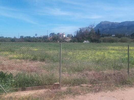 Acker-/Waldstück zum Kauf 239.600 € Dénia 03700