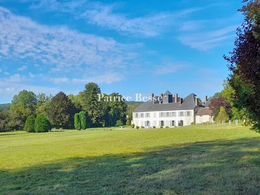 Schloss zum Kauf 790.000 € 16 Zimmer 917 m² 170.516 m² Grundstück Est Bar-sur-Aube 10200