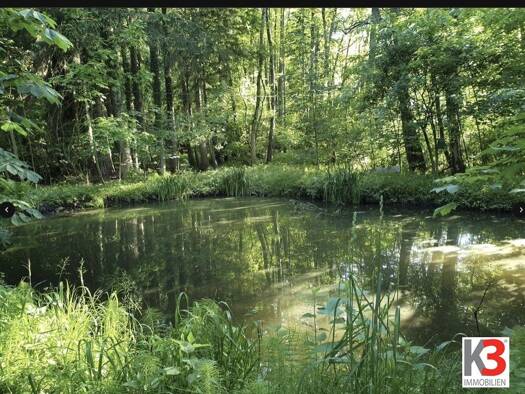 Einfamilienhaus zum Kauf 1.600.000 € 11 Zimmer 13.750 m² Grundstück Hocherlach Übersee 83236