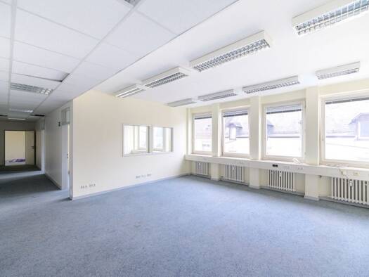 Bürogebäude zur Miete provisionsfrei 13,50 € 1.174 m² Bürofläche teilbar ab 172 m² Höchst Frankfurt am Main 65929