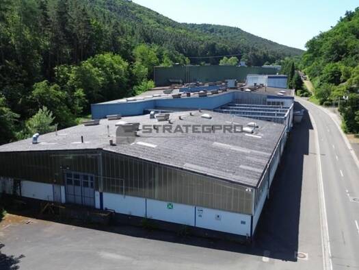 Lagerhalle zum Kauf 18.000 m² Lagerfläche teilbar ab 18.000 m² Grünstadt Grünstadt 67269