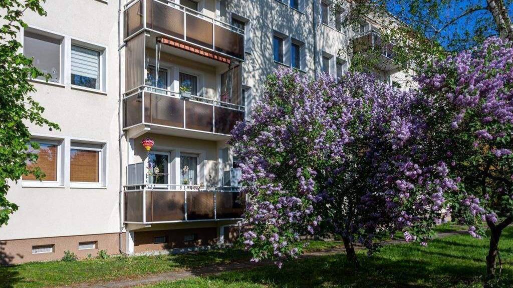 Studio zur Miete 225 € 1 Zimmer 31,6 m² 2. Geschoss Schladebacher Straße 56 Bad Dürrenberg 06231
