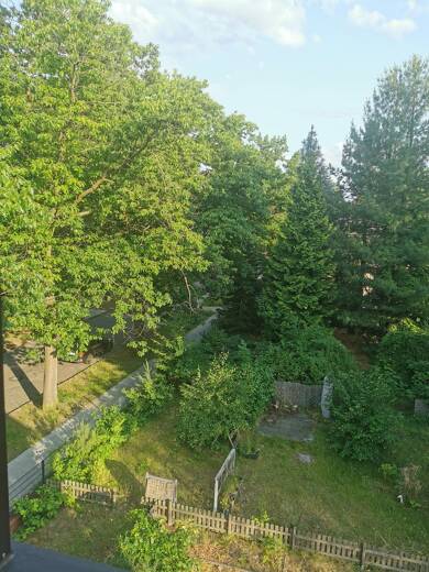 Wohnung zur Miete 985 € 2,5 Zimmer 70 m² Dachgeschoss, 1. Geschoss frei ab sofort Puschkinallee Eichwalde 15732