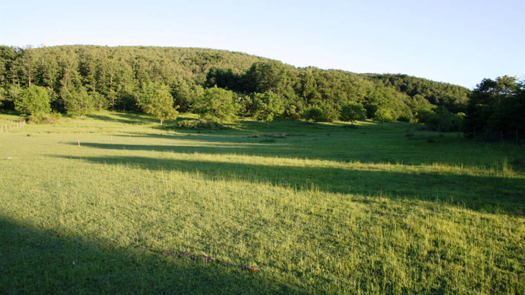 Land-/Forstwirtschaft zum Kauf 70.000 € 32.000 m² Grundstück Chalkidiki