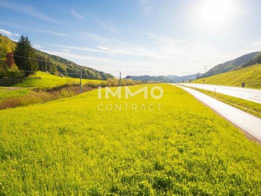 Gewerbegrundstück zum Kauf 195.000 € 4.568 m² Grundstück frei ab sofort Waidhofen an der Ybbs Waidhofen an der Ybbs 3340