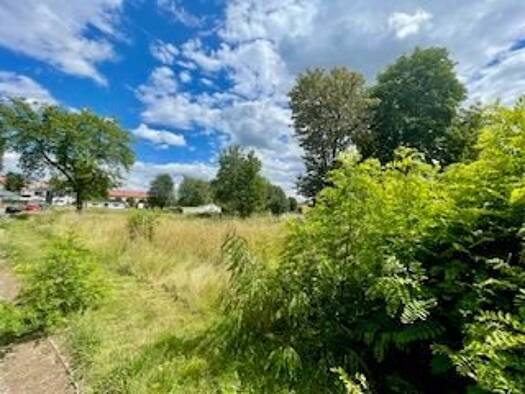 Grundstück zum Kauf provisionsfrei 37.730 € 539 m² Grundstück frei ab sofort Sangerhausen Sangerhausen 06526