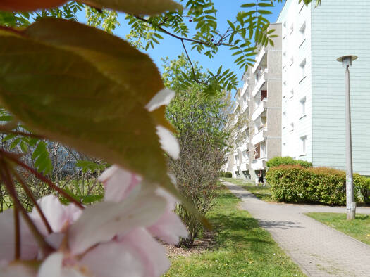 Wohnung zur Miete 540 € 3 Zimmer 60 m² 3. Geschoss Lilienthalstraße 10 Schkeuditz Schkeuditz 04435