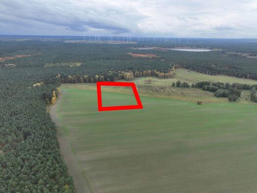 Land-/Forstwirtschaft zum Kauf provisionsfrei 111.111 € 88.729 m² Grundstück Caminchen Caminchen / Alt Zauche 15913