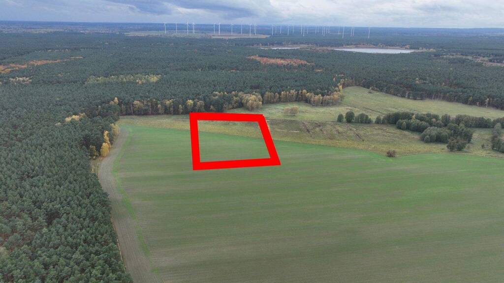 Land-/Forstwirtschaft zum Kauf provisionsfrei 111.111 € 88.730 m² Grundstück Caminchen Caminchen / Alt Zauche 15913